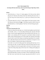 Vận dụng chiến lược đại dương xanh trong marketing tại ngân hàng viettinbank