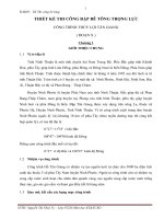 Thiết Kế Thi Công Đập Bê Tông Trọng Lực Công Trình Thủy Lợi Tân Giang ( Đoạn X )