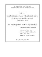 Tiểu Luận Nghiên Cứu Hiện Trạng Tiêu Dùng Văn Hóa Ở Xã Quảng Sơn , Huyện Ninh Sơn Tỉnh Ninh Thuận