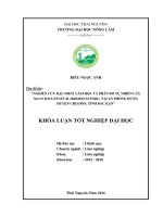 Nghiên cứu đặc điểm lâm học và phân bố tự nhiên cây xoan đào (pygeum arboreum endl) tại xã phong huân   huyện chợ đồn   tỉnh bắc kạn  