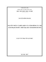 Nguyên nhân và điều kiện của tình hình các tội xâm phạm sở hữu trên địa bàn tỉnh bình dương