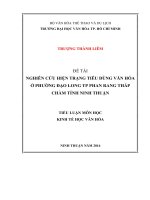 Nghiên Cứu Hiện Trạng Tiêu Dùng Văn Hóa Ở Phường Đạo Long Tp Phan Rang Tháp Chàm Tỉnh Ninh Thuận