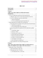 Chiến lược phát triển sản phẩm mới cho công ty cổ phần vật tư thú y TWI (VINASVETCO) 