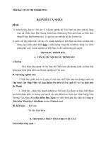 Chiến lược đại dương xanh của tập đoàn tân hiệp phát