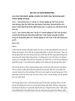 Lựa chọn một doanh nghiệp và phân tích chiến lược đại dương xanh doanh nghiệp áp dụng