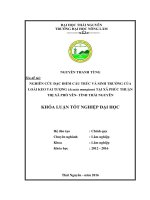 Nghiên cứu đặc điểm cấu trúc và sinh trưởng của loài keo tai tượng(acacia mangium) tại xã phúc thuận   thị xã phổ yên   tỉnh thái nguyên  