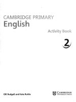 Cambridge primary english 2 activity book 