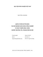 quản lý rủi ro tín dụng  tại chi nhánh ngân hàng nông nghiệp  và phát triển nông thôn  huyện thường tín, thành phố hà nội 