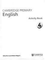 Cambridge primary english 4 activity book 