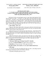 ke hoach duyet doi, diễu hành đội TNTP Hồ Chí Minh