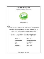 Nghiên cứu đặc tính bùn thải phát sinh từ hệ thống thoát nước thải sinh hoạt đô thị đô thị và nhà máy xử lý nước thải trên địa bàn thành phố hà nội  