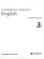 Cambridge primary english 3 activity book 