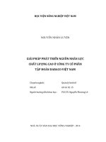 giải pháp phát triển nguồn nhân lực  chất lượng cao ở công ty cổ phần  tập đoàn dabaco việt nam 