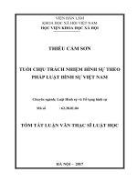 Tuổi chịu trách nhiệm hình sự theo pháp luật hình sự việt nam (tóm tắt)