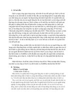 Lựa chọn dịch vụ Grabbike và phân tích đặc điểm Thương mại  dịch vụ này