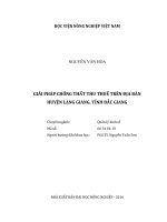 giải pháp chống thất thu thuế trên địa bàn  huyện lạng giang, tỉnh bắc giang 