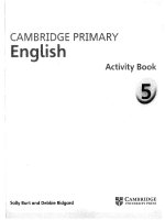 Cambridge primary english 5 activity book 
