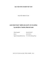giải pháp phát triển sản xuất cây vụ đông  tại huyện lý nhân,tỉnh hà nam 