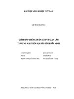 giải pháp chống buôn lậu và gian lận  thương mại trên địa bàn tỉnh bắc ninh 