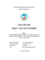 QUẢN TRỊ THƯƠNG HIỆU CANIFA TẠI CÔNG TY CÔNG TY  CỔ PHẦN THƯƠNG HIỆU VÀ ĐẦU TƯ LIÊN MINH THIẾT KẾ  CHÂU Á (HAKI ABI)