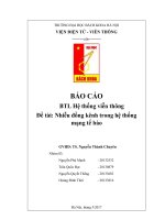 Bài tập lớn hệ thống viễn thông  Nhiễu đồng kênh trong hệ thống mạng tế bào