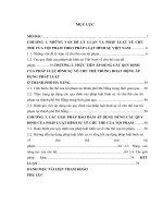 Luận văn Chủ thể của tội phạm theo pháp luật hình sự Việt Nam từ thực tiễn thành phố Đà Nẵng