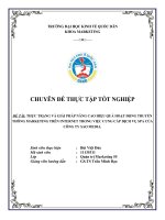 THỰC TRẠNG VÀ GIẢI PHÁP NÂNG CAO HIỆU QUẢ HOẠT ĐỘNG TRUYỀN THÔNG MARKETING TRÊN INTERNET TRONG VIỆC CUNG CẤP DỊCH VỤ SPA CỦA CÔNG TY SAO MEDIA