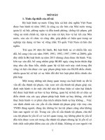 Chủ thể của tội phạm theo pháp luật hình sự việt nam từ thực tiễn thành phố đà nẵng (tóm tắt)