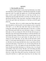 Quyết định hình phạt tù có thời hạn từ thực tiễn thành phố đà nẵng (tt) 