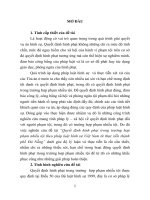 Quyết định hình phạt trong trường hợp phạm nhiều tội theo pháp luật hình sự việt nam từ thực tiễn thành phố đà nẵng (tt)