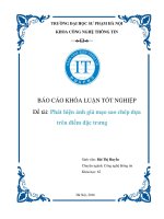 KHÓA LUẬN TỐT NGHIỆP: Phát hiện ảnh giả mạo sao chép dựa  trên điểm đặc trưng