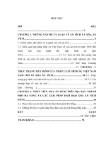 Luận văn xóa án tích theo pháp luật hình sự việt nam từ thực tiễn thành phố đà nẵng 