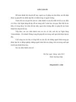 Khóa luận tốt nghiệp  ngành tài chính  ngân hàng