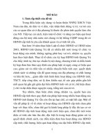 Tổ chức và hoạt động của HĐND cấp tỉnh từ thực tiễn tỉnh quảng trị (tóm tắt)