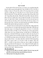 Đánh giá hiệu quả thuốc erlotinib trong điều trị ung thư phổi biểu mô tuyến giai đoạn muộn tt 
