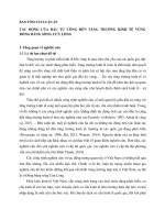 Tác động đầu tư công đến tăng trưởng kinh tế vùng đồng bằng sông Cửu Long (tóm tắt)