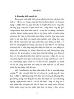 Quản lý nhà nước về bảo vệ công trình thủy lợi từ thực tiễn tỉnh quảng nam (tóm tắt)