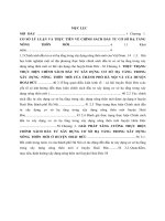 Luận văn thực hiện chính sách đầu tư xây dựng cơ sở hạ tầng nông thôn mới từ thực tiễn huyện hoài đức thành phố hà nội 