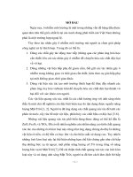 Luận văn thạc sĩ: Nghiên cứu chế tạo một số hợp chất  nano chứa bạc và khảo sát tính chất quang của chúng