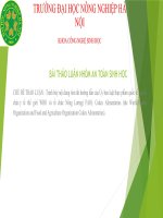 trình bày nội dung tóm tắt hướng dẫn của ủy ban luật thực phẩm quốc tế của tổ chức y tế thế giới WHO và tổ chức nông lương( FAO) codex alimentarius (the world health organization and food and agriculture organization codex 