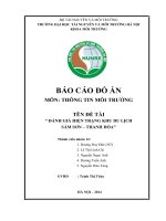 BÁO CÁO ĐỒ ÁN MÔN THÔNG TIN MÔI TRƯỜNG: ĐÁNH GIÁ HIỆN TRẠNG KHU DU LỊCH  SẦM SƠN – THANH HÓA