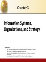 Management information systems 13th laudon chapter 03 