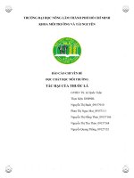 BÁO CÁO CHUYÊN ĐÊ  TÁC HẠI CỦA THUỐC LÁ