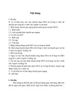 Trên cơ sở khoa học và các thực nghiệm đã được tiến hành, phân tích khả năng chuyển đoạn DNA tái tổ hợp ở sinh vật chuyển gen (đv, TV và VSV) sang hệ vi sinh vật ở người và vật nuôi 