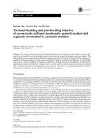 Torsional buckling and post buckling behavior of eccentrically stiffened functionally graded toroidal shell segments surrounded by an elastic medium 