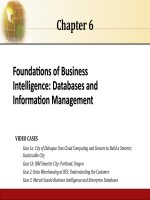 Management information systems 13th laudon chapter 06 