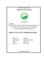 Đánh giá hiện trạng và đề xuất biện pháp nâng cao chất lượng nước sinh hoạt tại xã thổ bình   huyện lâm bình   tỉnh tuyên quang 