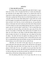 Các giai đoạn thực hiện tội phạm theo pháp luật hình sự việt nam từ thực tiễn thành phố đà nẵng (tóm tắt)