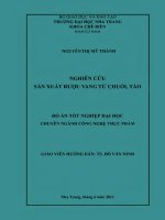 Nghiên cứu sản xuất rượu vang từ chuối táo 