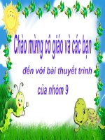 Bài thuyết trình tin học 2